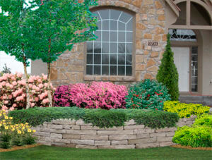 Photo Imaging for Landscape Professionals | PRO Landscape+